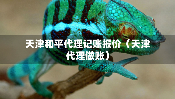 天津和平代理记账报价（天津代理做账）