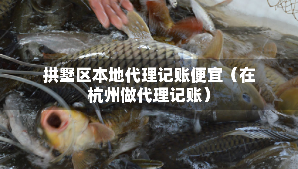 拱墅区本地代理记账便宜（在杭州做代理记账）