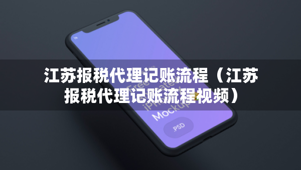 江苏报税代理记账流程（江苏报税代理记账流程视频）