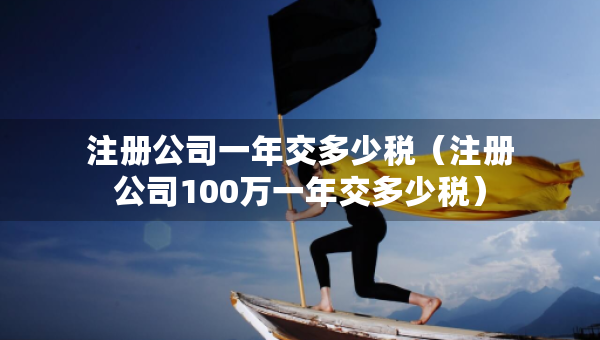 注册公司一年交多少税（注册公司100万一年交多少税）