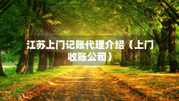 江苏上门记账代理介绍（上门收账公司）