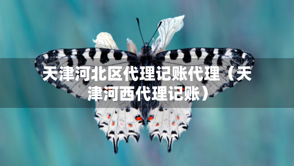 天津河北区代理记账代理（天津河西代理记账）