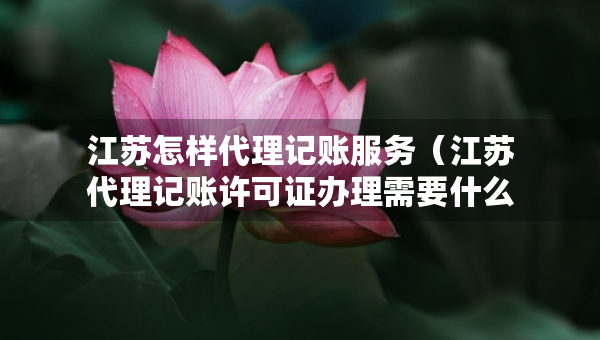 江苏怎样代理记账服务（江苏代理记账许可证办理需要什么条件）