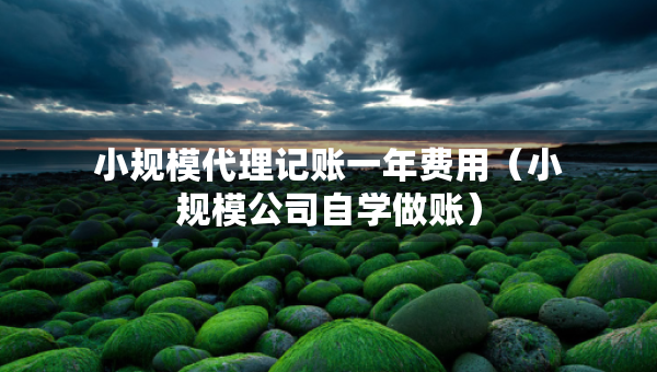 小规模代理记账一年费用（小规模公司自学做账）