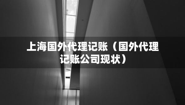 上海国外代理记账（国外代理记账公司现状）