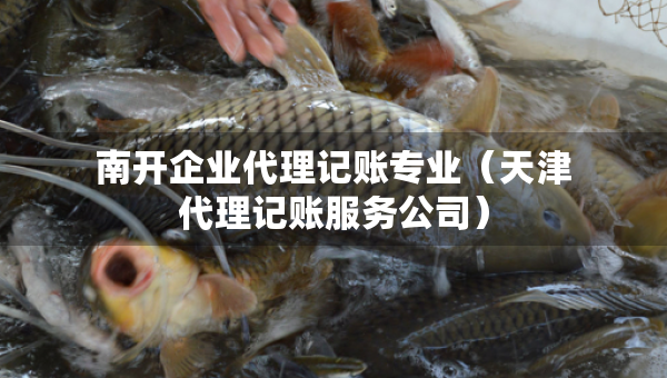 南开企业代理记账专业（天津代理记账服务公司）