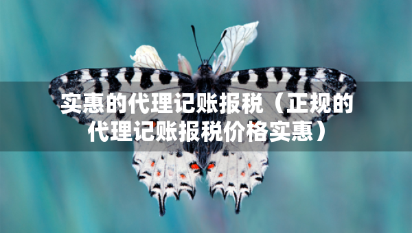 实惠的代理记账报税（正规的代理记账报税价格实惠）