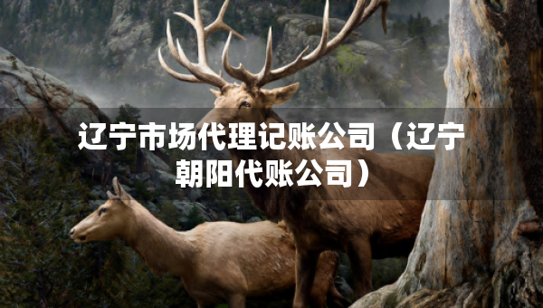 辽宁市场代理记账公司(辽宁朝阳代账公司) 辽宁市场代理记账公司(辽宁朝阳代账公司)