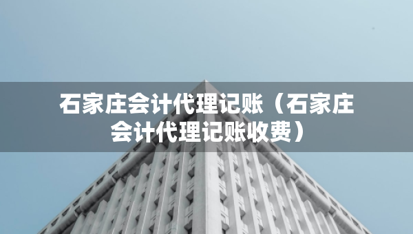 石家庄会计代理记账（石家庄会计代理记账收费）