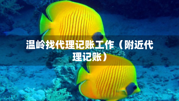 温岭找代理记账工作（附近代理记账）