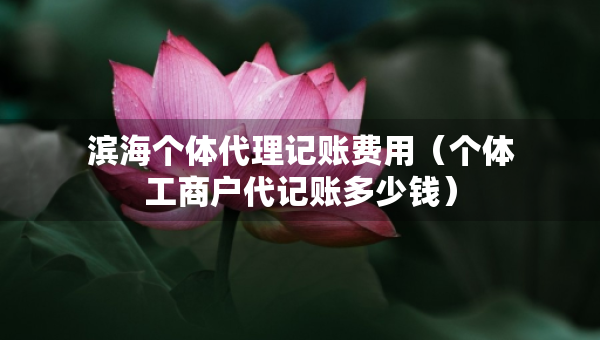 滨海个体代理记账费用（个体工商户代记账多少钱）