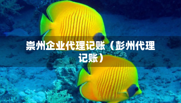 崇州企业代理记账（彭州代理记账）