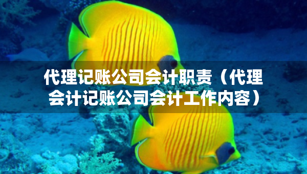 代理记账公司会计职责（代理会计记账公司会计工作内容）