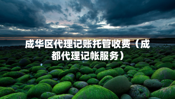 成华区代理记账托管收费（成都代理记帐服务）