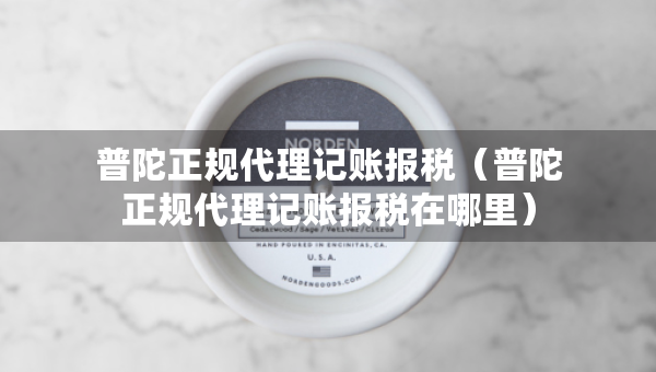 普陀正规代理记账报税（普陀正规代理记账报税在哪里）
