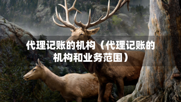 代理记账的机构（代理记账的机构和业务范围）