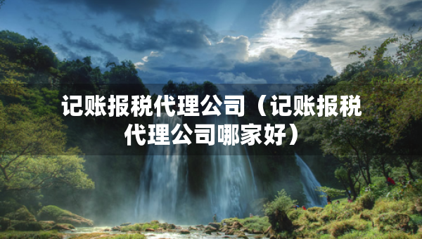 记账报税代理公司（记账报税代理公司哪家好）