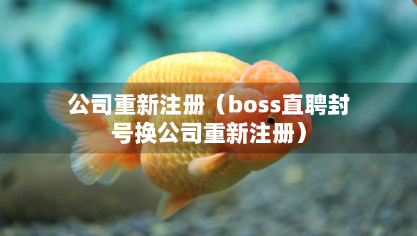 公司重新注册（boss直聘封号换公司重新注册）