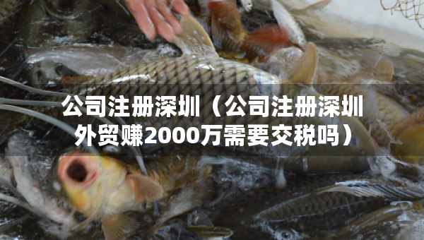 公司注册深圳（公司注册深圳外贸赚2000万需要交税吗）