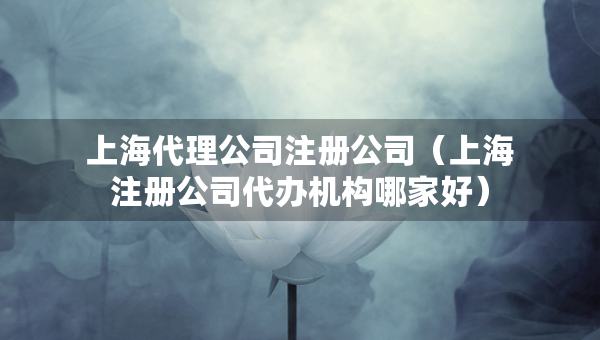 上海代理公司注册公司（上海注册公司代办机构哪家好）