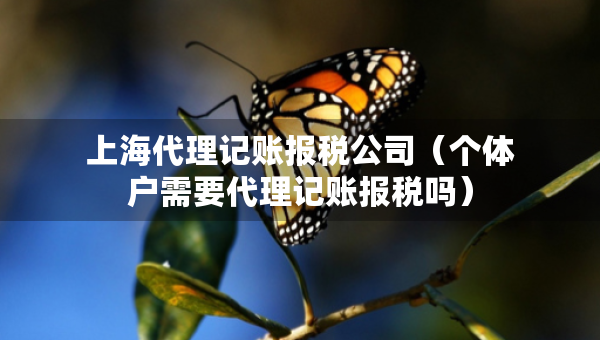 上海代理记账报税公司（个体户需要代理记账报税吗）