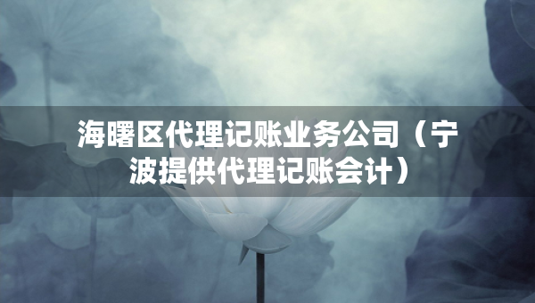 海曙区代理记账业务公司（宁波提供代理记账会计）