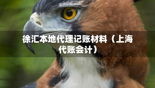 徐汇本地代理记账材料（上海代账会计）