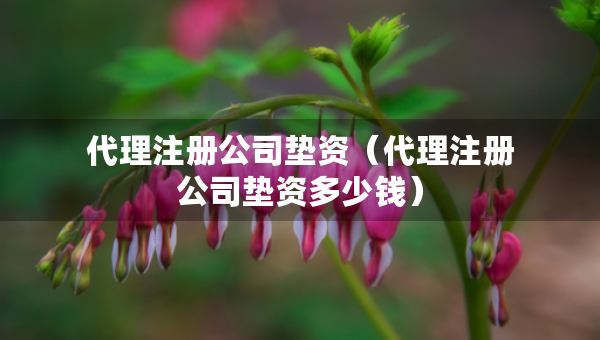 代理注册公司垫资（代理注册公司垫资多少钱）