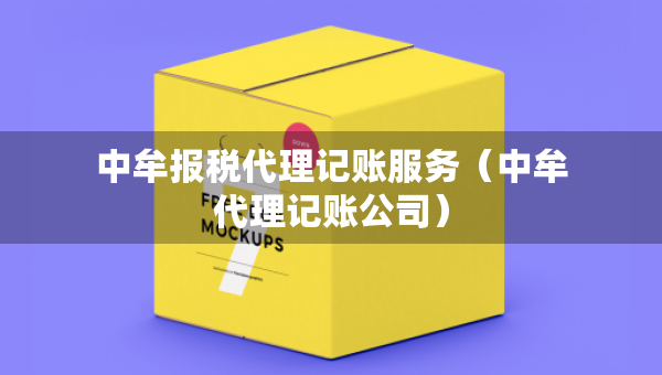 中牟报税代理记账服务（中牟代理记账公司）