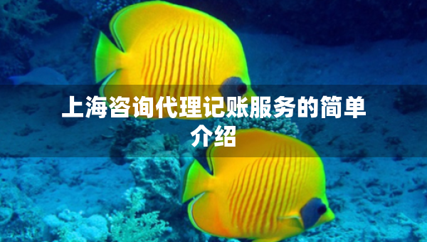 上海咨询代理记账服务的简单介绍