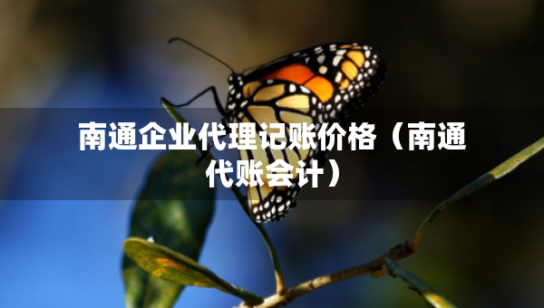 南通企业代理记账价格（南通代账会计）