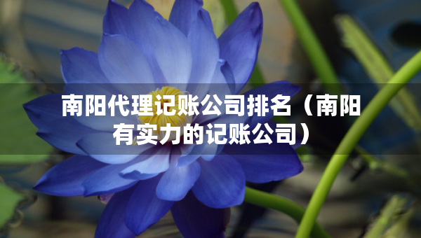 南阳代理记账公司排名（南阳有实力的记账公司）