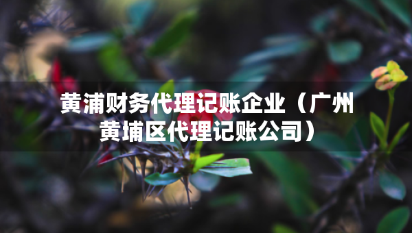 黄浦财务代理记账企业（广州黄埔区代理记账公司）