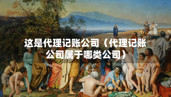 这是代理记账公司（代理记账公司属于哪类公司）