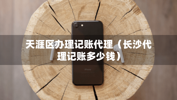 天涯区办理记账代理（长沙代理记账多少钱）