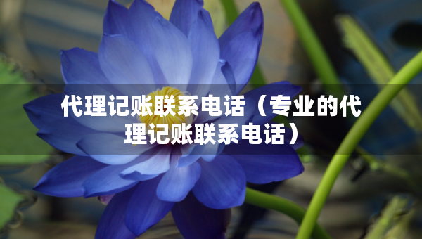 代理记账联系电话（专业的代理记账联系电话）