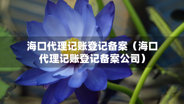 海口代理记账登记备案（海口代理记账登记备案公司）