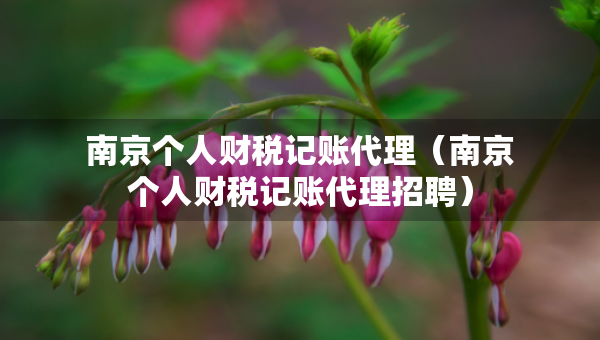 南京个人财税记账代理（南京个人财税记账代理招聘）