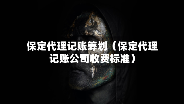 保定代理记账筹划（保定代理记账公司收费标准）