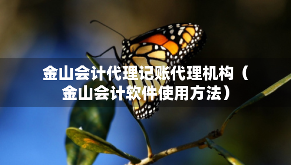 金山会计代理记账代理机构（金山会计软件使用方法）