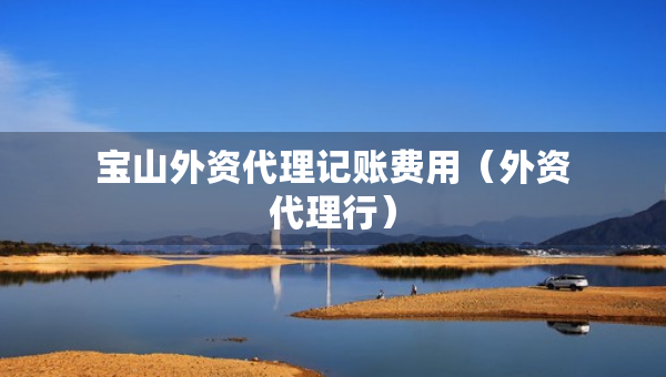 宝山外资代理记账费用（外资代理行）