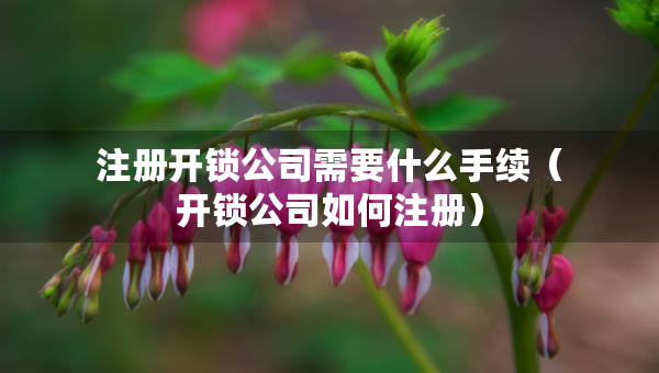 注册开锁公司需要什么手续（开锁公司如何注册）