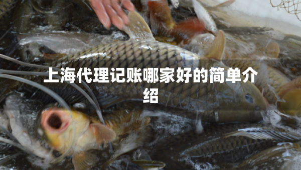 上海代理记账哪家好的简单介绍