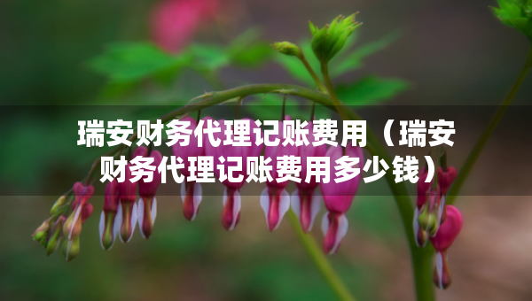 瑞安财务代理记账费用（瑞安财务代理记账费用多少钱）