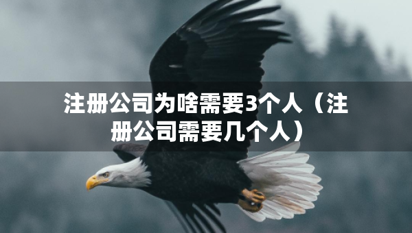 注册公司为啥需要3个人（注册公司需要几个人）