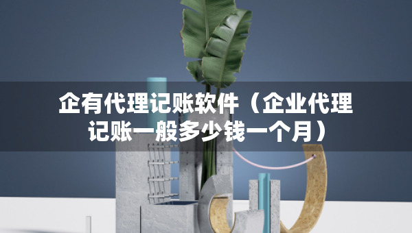 企有代理记账软件（企业代理记账一般多少钱一个月）
