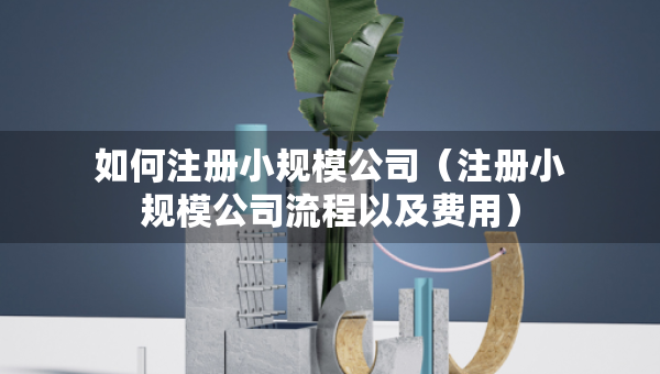 如何注册小规模公司（注册小规模公司流程以及费用）