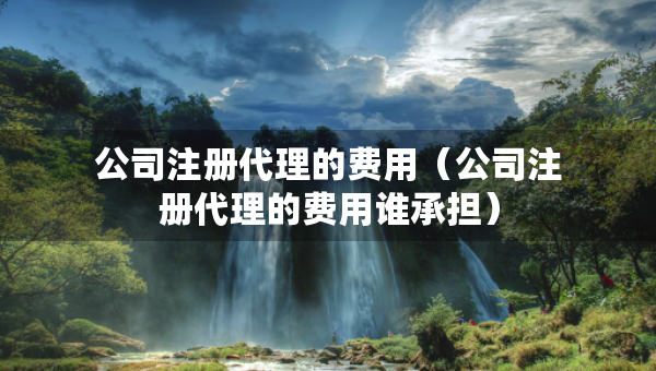公司注册代理的费用（公司注册代理的费用谁承担）