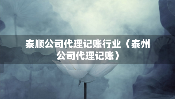 泰顺公司代理记账行业（泰州公司代理记账）