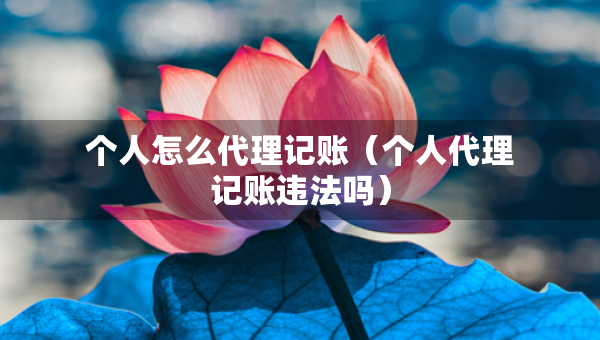 个人怎么代理记账（个人代理记账违法吗）